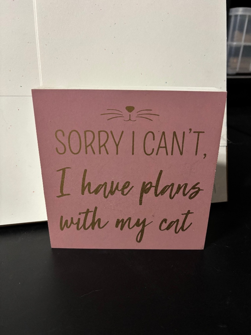 Sorry I can't I have plans with my cat wooden sign